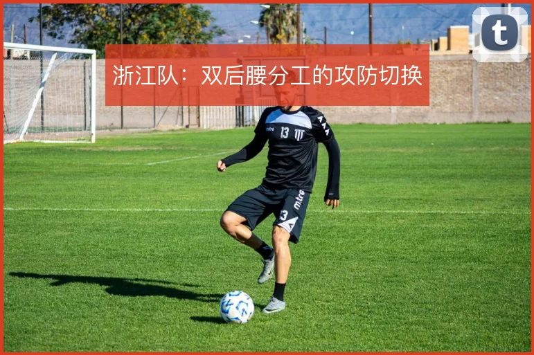 浙江队：双后腰分工的攻防切换