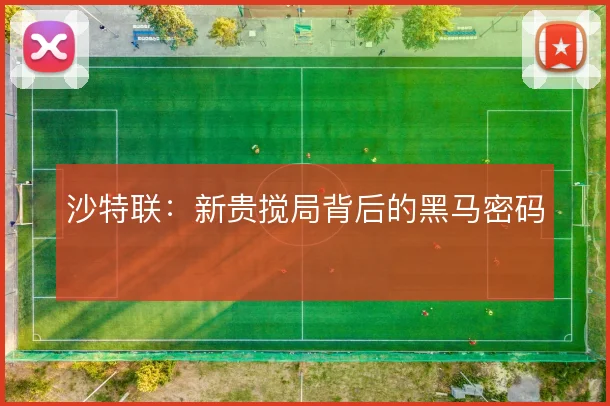 沙特联：新贵搅局背后的黑马密码